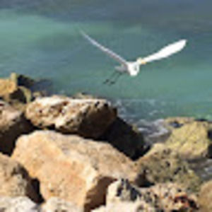 Meet your Posher, Yarong